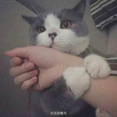 上市公司重大预付款存疑！普华永道辞任！